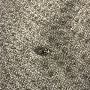 Silver and Gold Seashell Pandora Charm